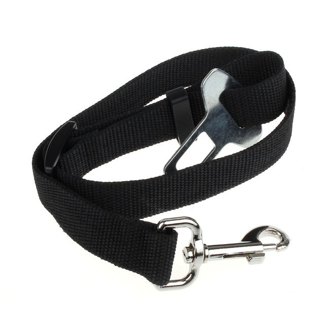 2.4cm Vehicle Car Seat belt Harness