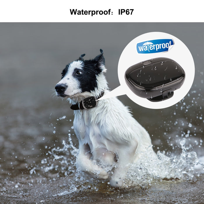 4G GPS Pet Tracker Waterproof Sports Step Real-time WiFi Tracking Voice Monitor Tracker GPS