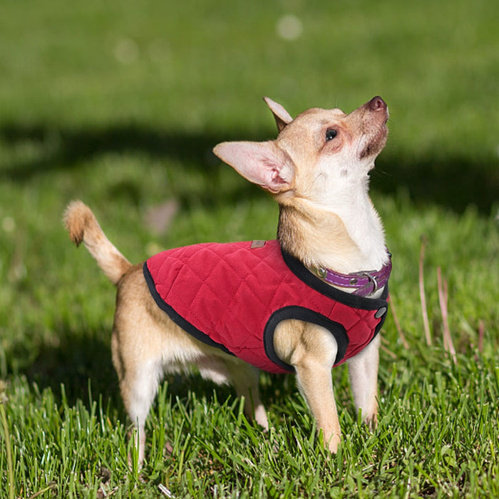 French Bulldog Chihuahua Dog Clothes Winter