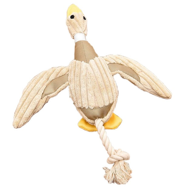 Squeaky Duck Toy Interactive Squeak